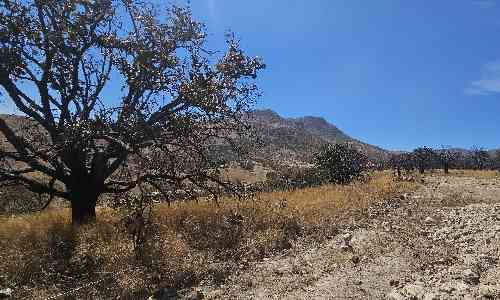 terreno en venta el roble lomas de montechelo zapopan jalisco pszvP5o