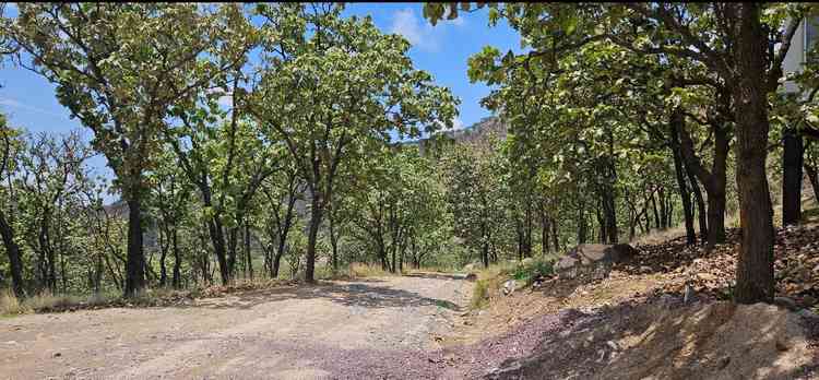 terreno en venta carrer a colotlan lomas de montechelo el pedregal zapopan jalisco pftC0dB