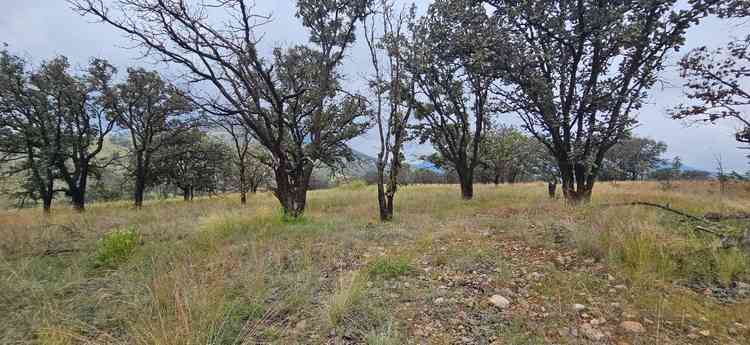 terreno en venta el roble lomas de montechelo zapopan jalisco pszvP5o