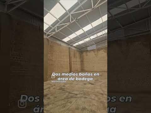 Previsualización del video